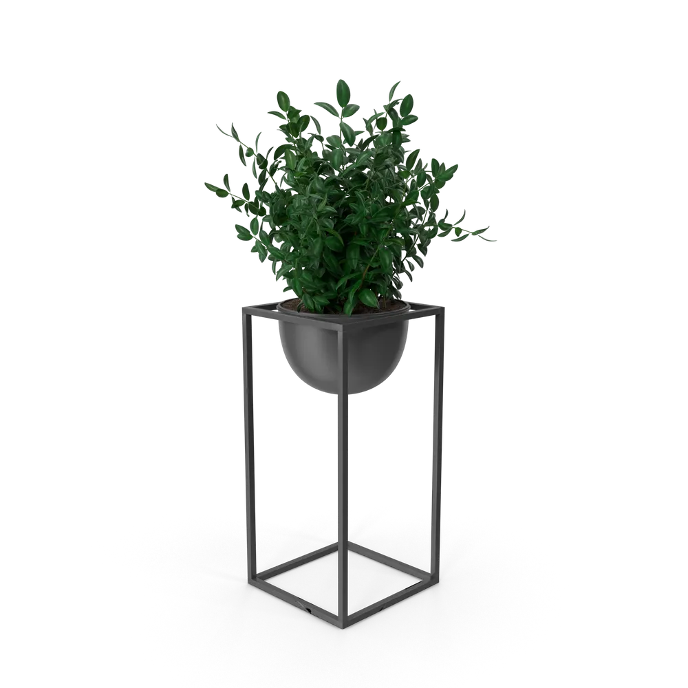 Planta decorativa de interior. Hogar y deco. Importa Hoy · Tienda