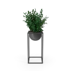 Planta decorativa de interior. Hogar y deco. Importa Hoy · Tienda