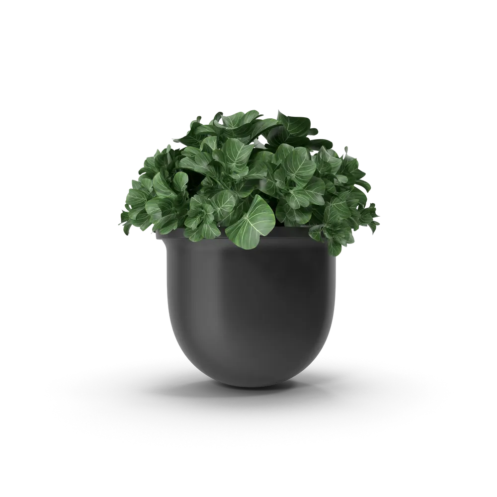 Maceta decorativa minimalista. Hogar y deco. Importa Hoy · Tienda
