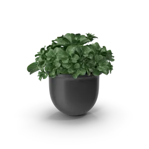 Maceta decorativa minimalista. Hogar y deco. Importa Hoy · Tienda